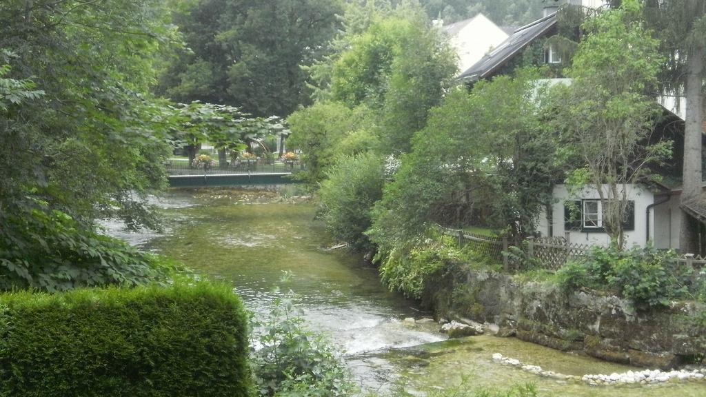 Apartment An Der Traun "바트아우시 객실 사진